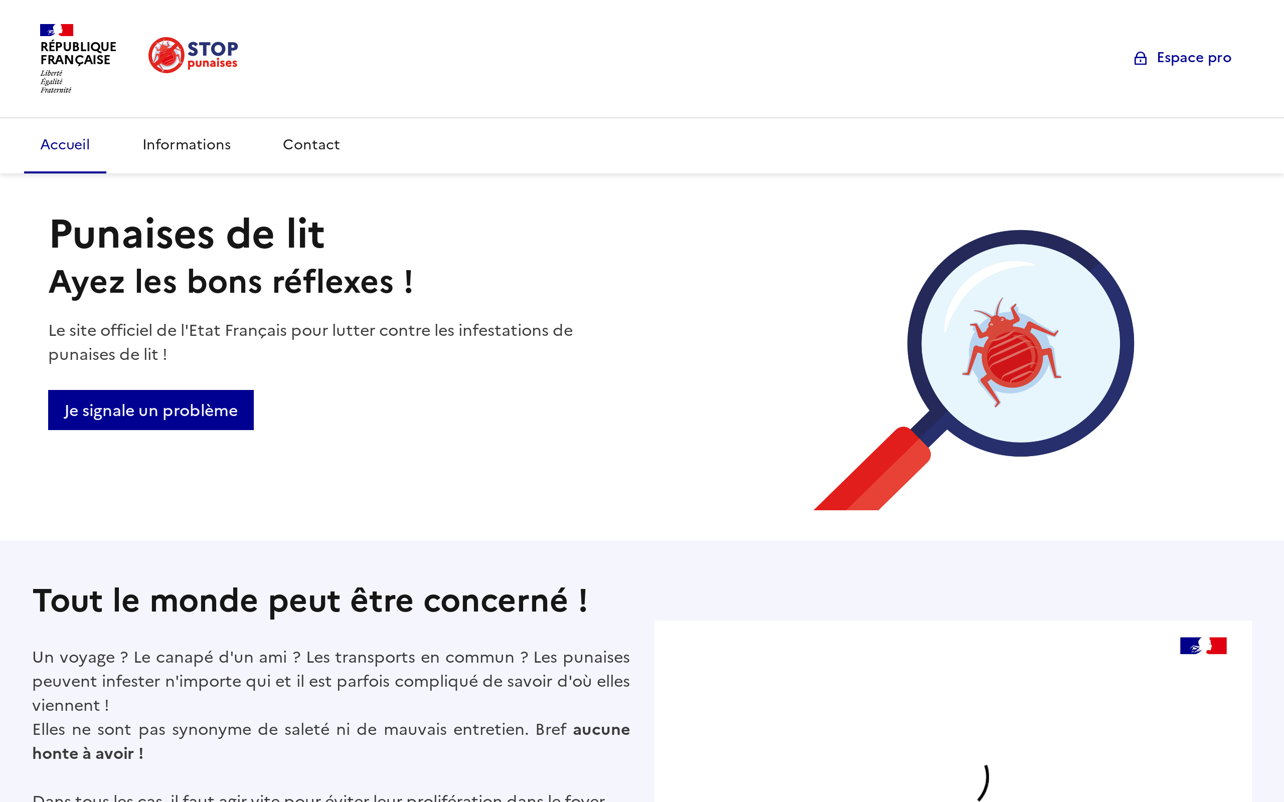 Copie d'écran de https://stop-punaises.beta.gouv.fr